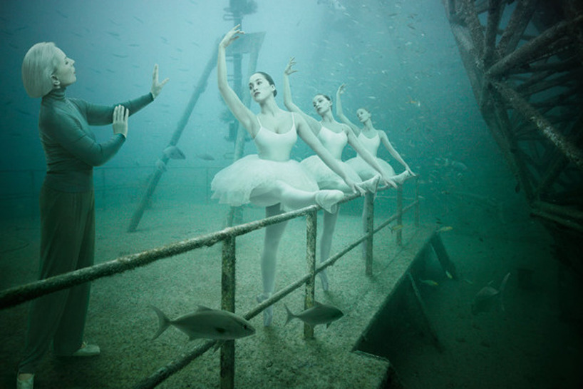 (via andreas franke - underwater photography exhibition)