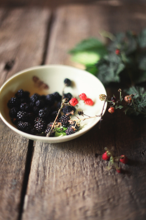 
backyard blackberries by hannah * honey & jam, via Flickr
