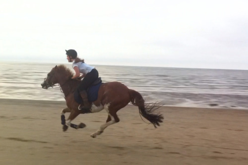 Horseback Riding Galloping