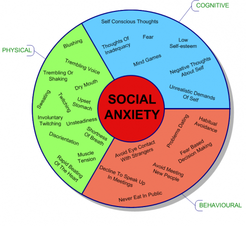 universe-regeneration:

whimmy-bam:

sirileigh:

prllnce:

meggchan:

Mine is mostly cognitive.

I have all three. Well oops.

Dammit! So do I!

No one has said this yet, so I feel I must.
THANK YOU FOR THIS.
So many people don’t seem to understand that social anxiety can manifest itself in multiple ways. Some people will just dismiss that you have social anxiety if you don’t fit into what they perceive it to be, and that lack of understanding can be really hurtful. So thank you for this.
(And as my personal comment, I fit into behavioural and cognitive.)

Mines both cognitive and behavioural
