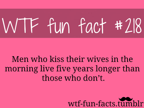 MORE OF WTF-FUN-FACTS ARE COMING HERE
funny and weird facts ONLY