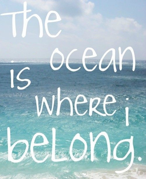 tumblr quotes for beach the Tumblr Quotes Quotes Friendship Over About