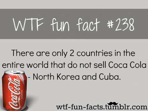 MORE OF WTF-FUN-FACTS are coming HERE &lt;——
funny and weird facts ONLY