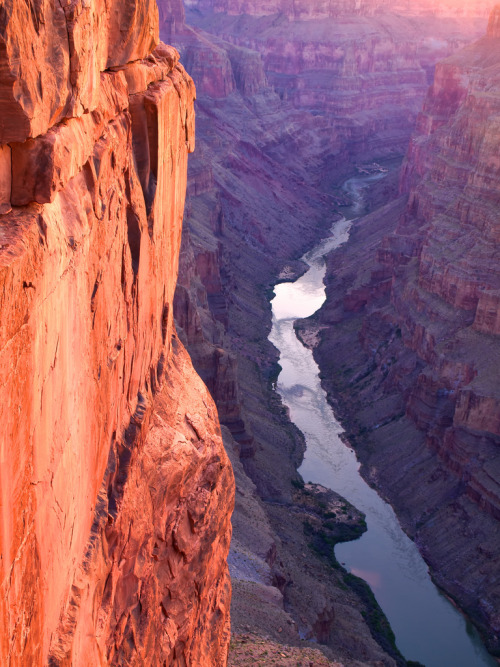 wherethemountaincastsitsshadow:

Grand Canyon National Park, Tuweep Area, Toroweap Overlook by darthjenni
