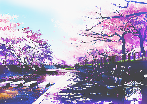  Sakura || teitous  