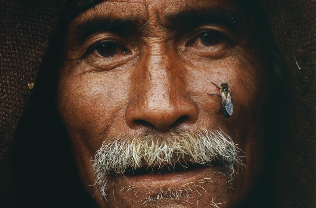 Honey Hunters of Nepal by Eric Valli