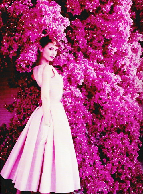Audrey Hepburn photographed by Norman Parkinson in 1955