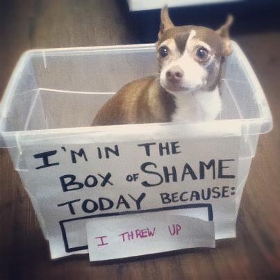 He&#8217;s done something bad often enough to need a box of shame.