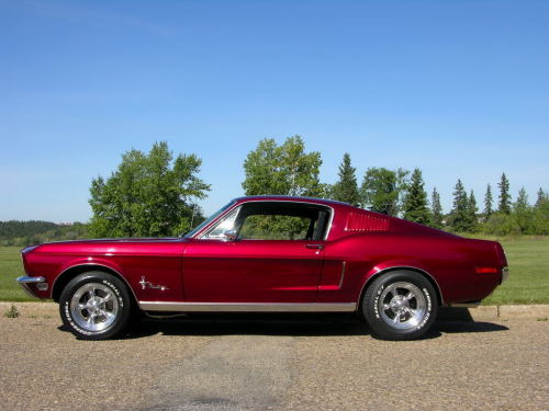 justoldmustangs:

1968 Fastback Ford Mustang. Candy-apple red. Yum.
