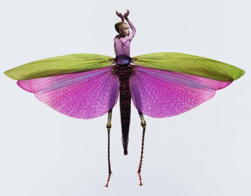 (via Insectes, Photo Composites of Woman-Insect Creatures)