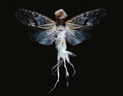 (via Insectes, Photo Composites of Woman-Insect Creatures)