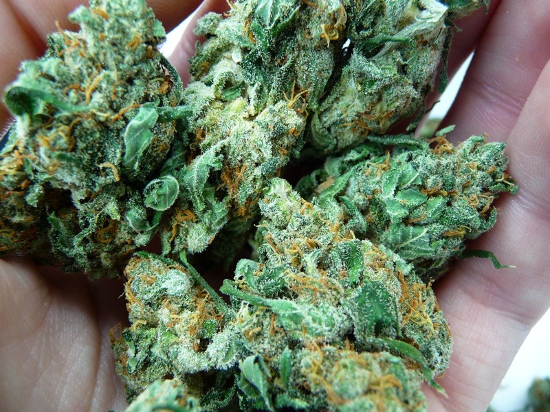 bc weed