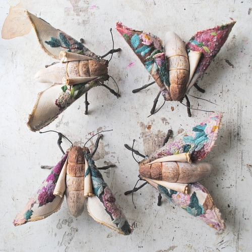 ohmisterfinch:

Textile moths by Mister Finch
