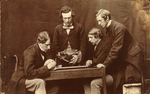 ca. 1857, &#8220;The Anatomy Lesson with Dr. George Rolleston", Charles Lutwidge Dodgson


Charles Lutwidge Dodgson is best known by his pen name Lewis Carroll and as the author of &#8220;Alice&#8217;s Adventures in Wonderland". He was also a mathematics don at Christ Church, Oxford and a highly accomplished amateur photographer. He was particularly skilled at photographing his many &#8216;child-friends&#8217; but also made numerous portraits of adults, including his Oxford colleagues.
Dodgson made this group portrait in the Anatomical Museum at Christ Church in 1857. Gathered around the skeleton of a fish are, from left to right, Dr. George Rolleston, professor of anatomy; William Robertson, demonstrator of anatomy; and undergraduates Augustus Vernon Harcourt and Heywood Smith.

 via the Victoria &amp; Albert Museum, Prints, Drawings and Paintings Collection
