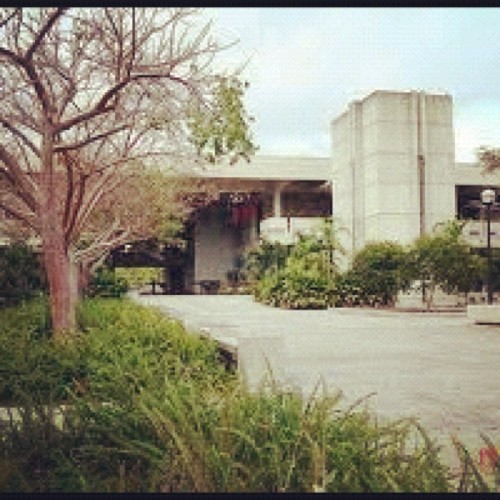 Day 10: School. Miami Dade College Kendall Campus  #me #pads