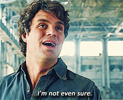 Bruce Banner from the movies saying 'I'm not even sure.'