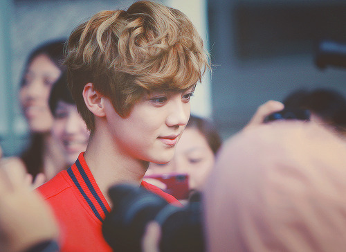 
7/100 pictures of Luhan
