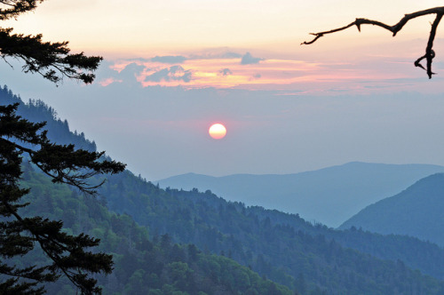 This is why I love the Smoky Mts. by picturesinmylife_yls on Flickr.