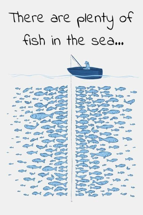 plenty of fish | Tumblr