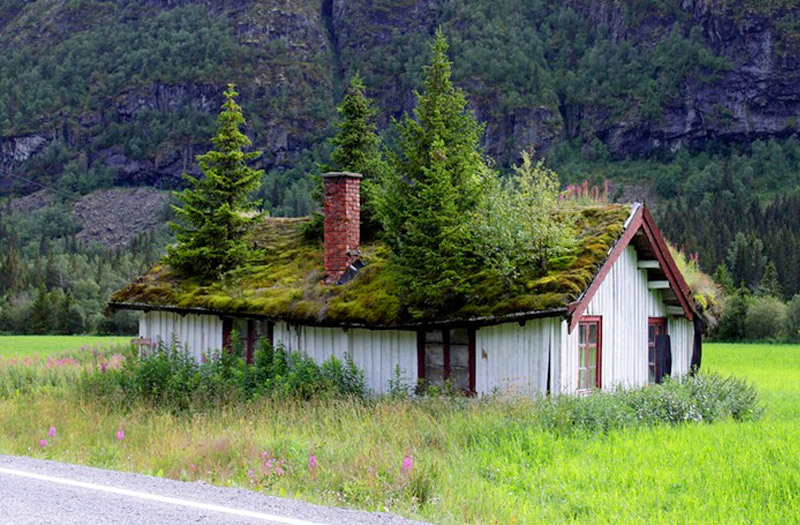 cosascool:

A house Norway with trees growing out of its roof (via inhabitat)
