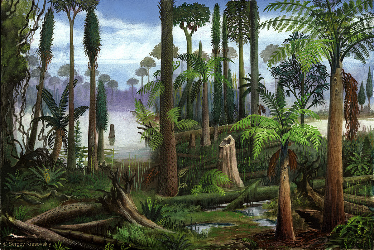 What are some facts about the Carboniferous period?
