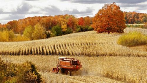 harvestheart:

Time of the Harvest
