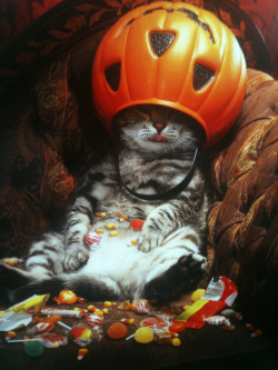 candy halloween cat 