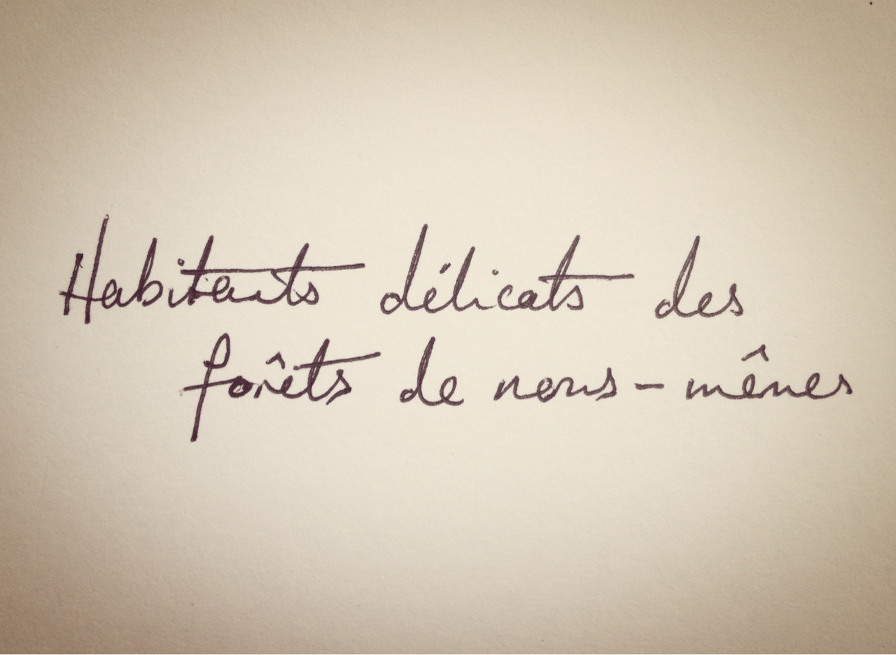 Quote Tumblr Inspiration Tags: handwriting french quote