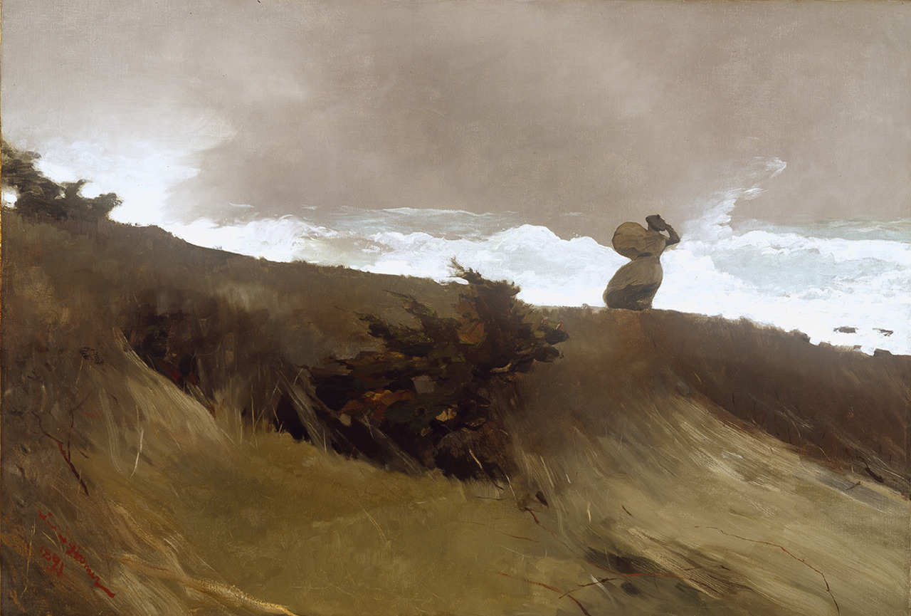 journalofanobody:

The West Wind, 1891 by Winslow Homer