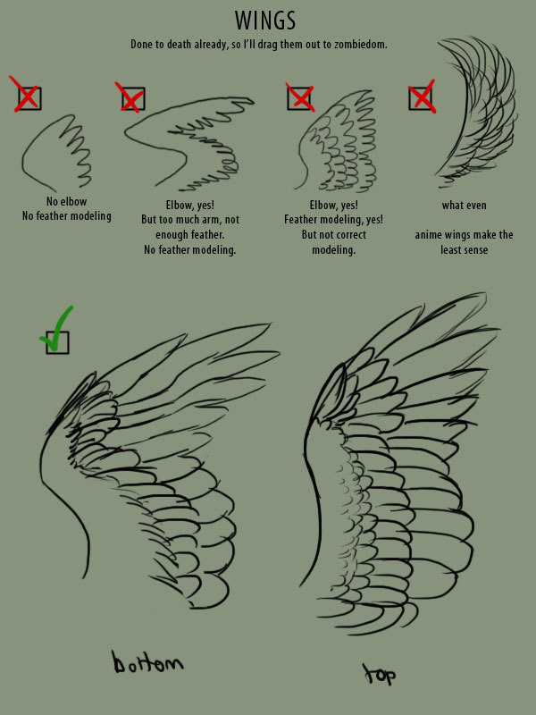 Drawing Art Birds Bird Reference Tutorial Wings Wing Ref Guide Supaslim,How To Make Candles To Sell