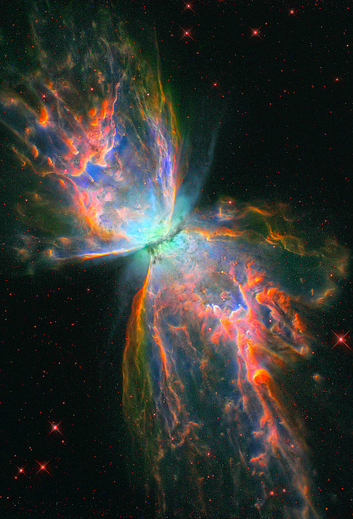 visualgspot:

Butterfly Nebula
