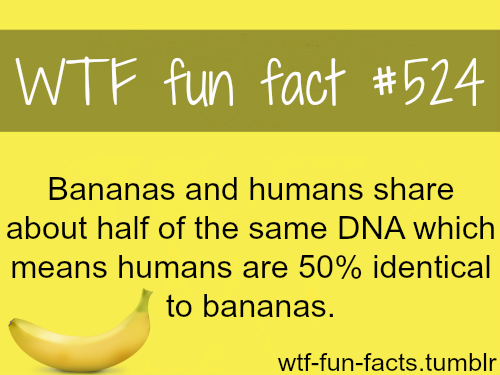 MORE OF WTF-FUN-FACTS are coming HERE 
funny and weird facts ONLY