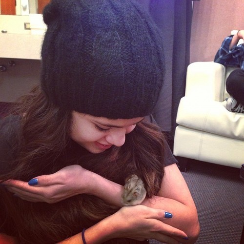  Selena and Justin&#8217;s hamster PAC &lt;3 