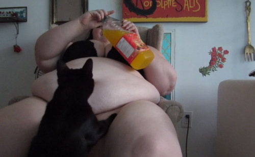 ashhhhhhhhhhhhhhhhhh:

lunalovex:

i really hate when cats make surprise guest stars in my videos. cat that juice is not for you. 

Ours knock the camera down every. time. 
