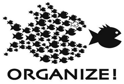 Image result for Organize