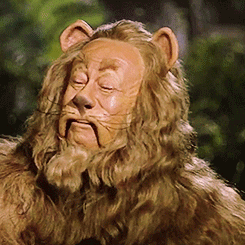 Image result for WIZARD OF OZ COWARDLY LION GIFS
