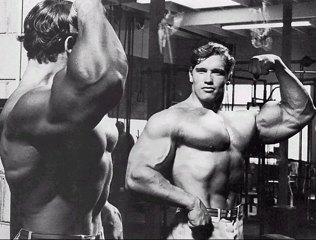 Arnold Schwarzenegger Workout