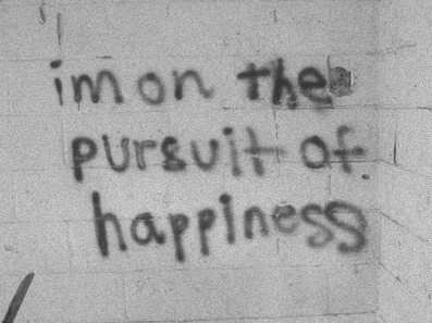 Pursuit Of Happiness Project X