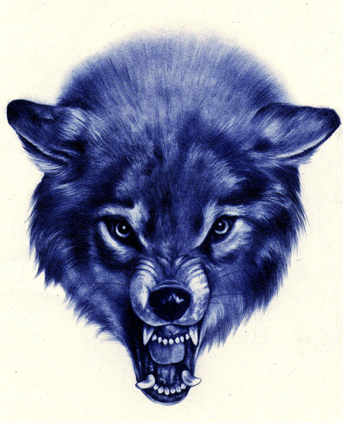 wryer:

I drew a wolf (in pencil, the scanner setting made it look blue, but I thought it looked quite cool that way)

