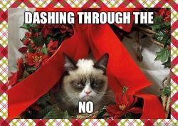 kitty cat Christmas snow red funny holiday cute adorable sad bow angry thanksgiving hi Silly angry cat imgfave grumpy cat 