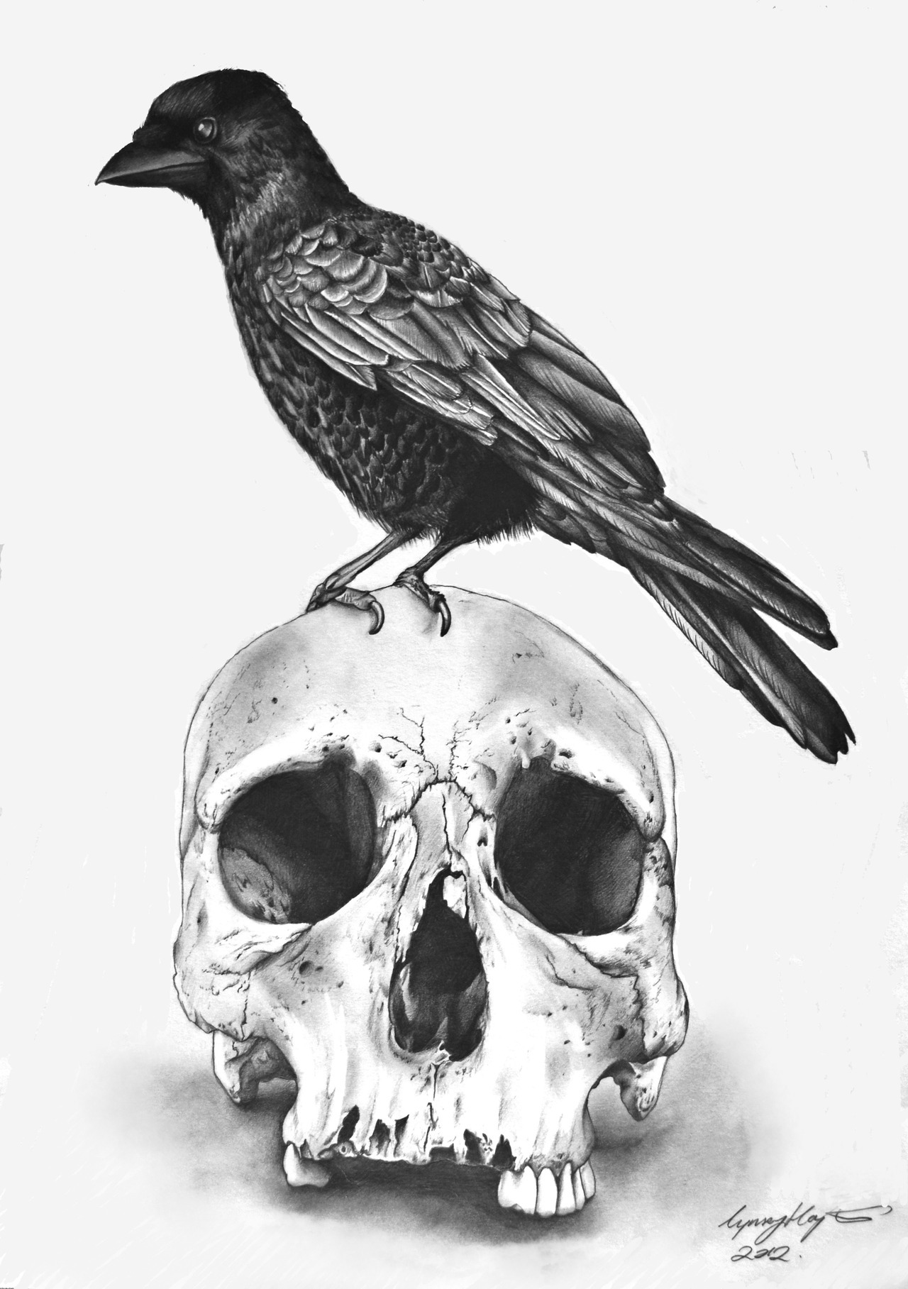 eatsleepdraw:

Study of skull with raven, a3, sketching pencil. Please click through for my illustration blog :) Thanks!
