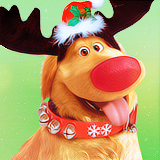 Dug wearing reindeer antlers dressed as Rudolf