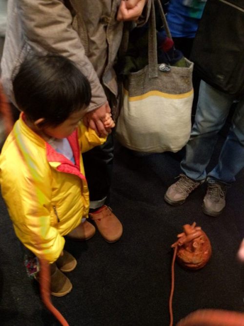 (via @iimio いたーー！遊だよ！心臓、あのあと二歳児が怖がって逃げてた！脈の速そうな二歳児にこそやってほしかったーー！ Photo - asobi tsuchiya | Lockerz)