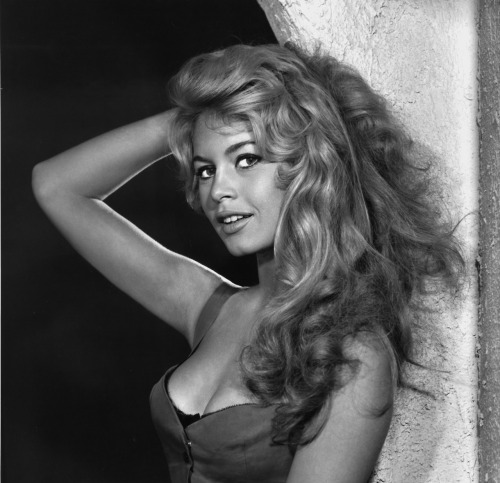onlyoldphotography:

Yousuf Karsh: Brigitte Bardot, 1958
