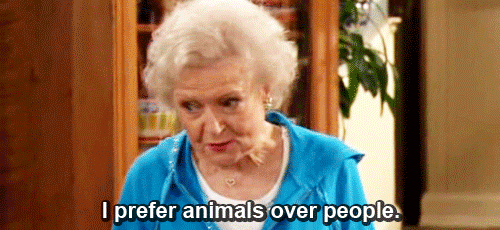 Celebrate Betty White's 94th Birthday With A Golden Gif ...