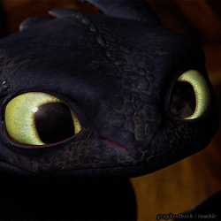 [Fiche Dragon] Toothless (Krokmou)  Tumblr_n50gzpUeEV1tq5oaao1_250