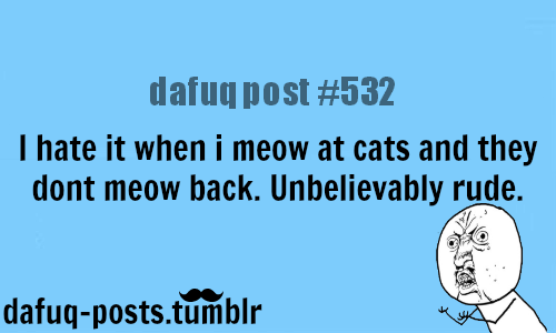 meowing on cats - rude catsFOR MORE OF