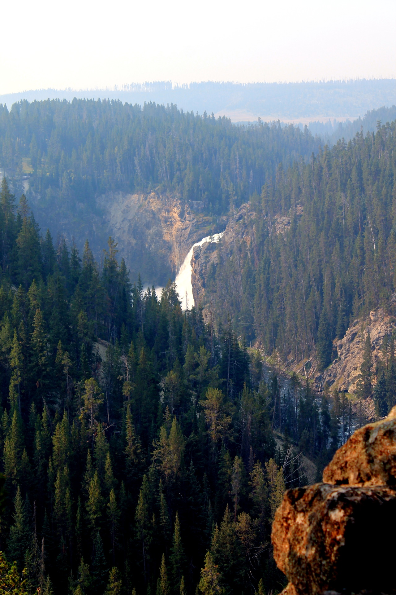 wilderwoods: Overlooking the falls of Yellowstone 