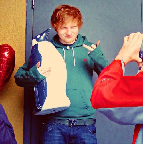 sexwithsheeran: I love this cause of the penguin. 