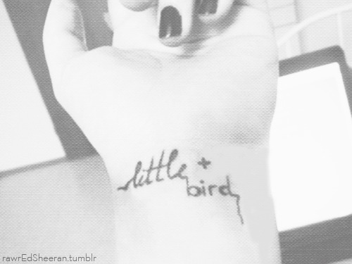 and I&#8217;ll owe it all to you, oh, my little bird. 